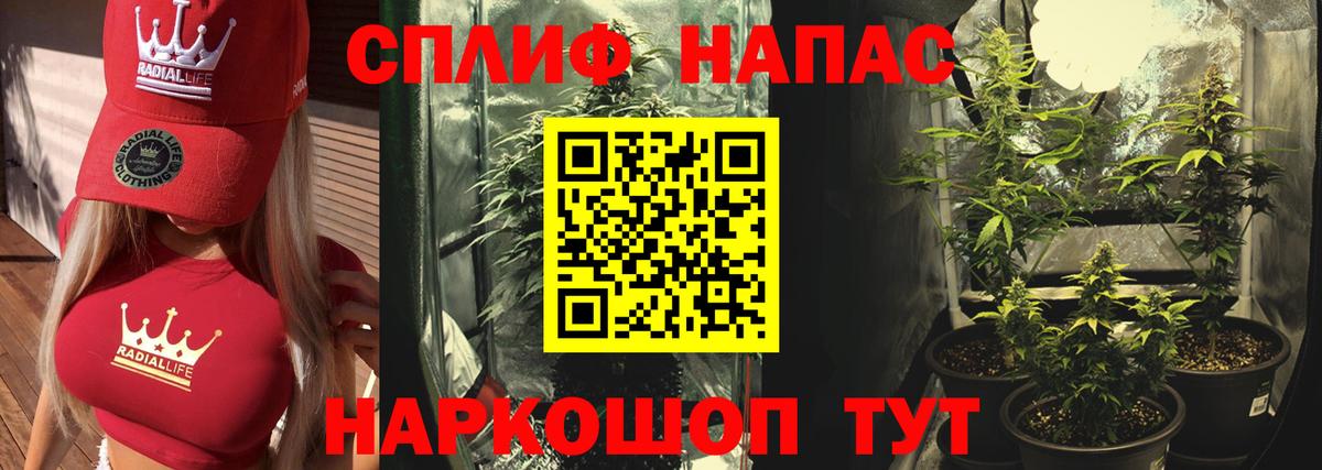 Шишки марихуана сатива Дюртюли